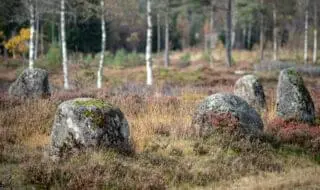 Tingplassen med gravhauger og steinsettinger finnes fremdeles på Tingvatn.