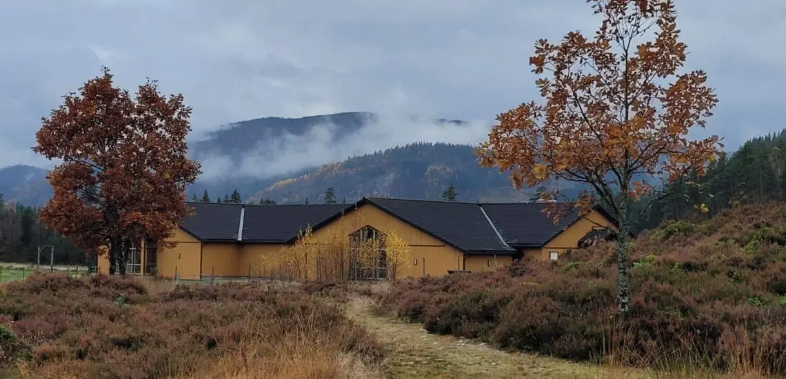 Bilde til Ny utstilling hos Tingvatn fornminnepark i Hægebostad om folkevandringstiden